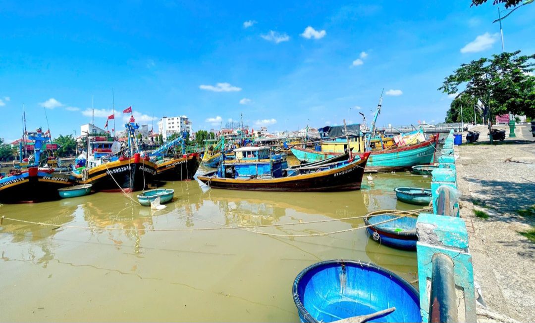 category photo
